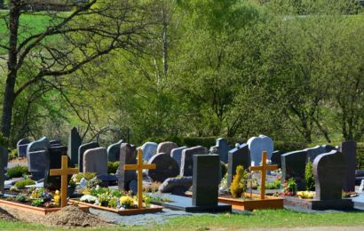 Diebin auf Regensburger Friedhof