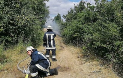 Brand eines Bahndamms und Freiflächen im Bereich zwischen Hiltersdorf und Freihöls