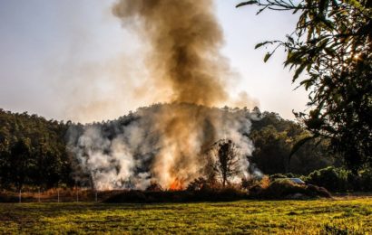 Nicht verwahrtes Feuer ruft Feuerwehr und Polizei mehrmals auf den Plan