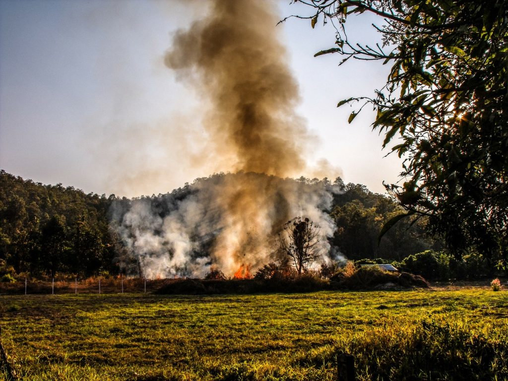 Symbolbild: Brand auf einer Wiese