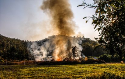 Aufmerksamer Anwohner löscht Brand in Vilseck
