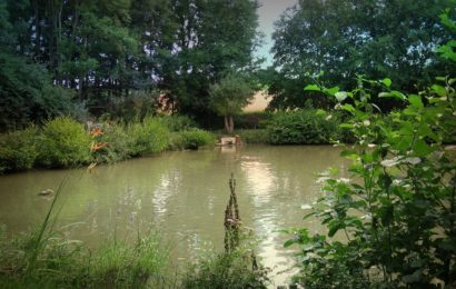 Fischdiebstahl in Nabburg