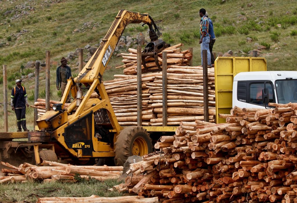 Symbolbild: Holztransporter