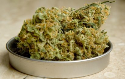 Cannabisgeruch zieht Anzeige nach dem Betäubungsmittelgesetz sich