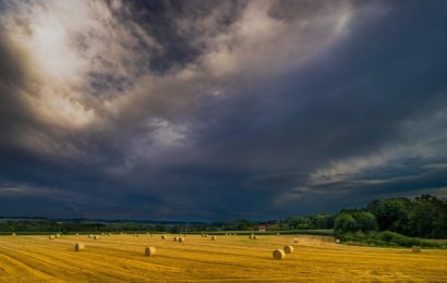 Unbekannter fährt mit Pkw durch Feld bei Kulmain