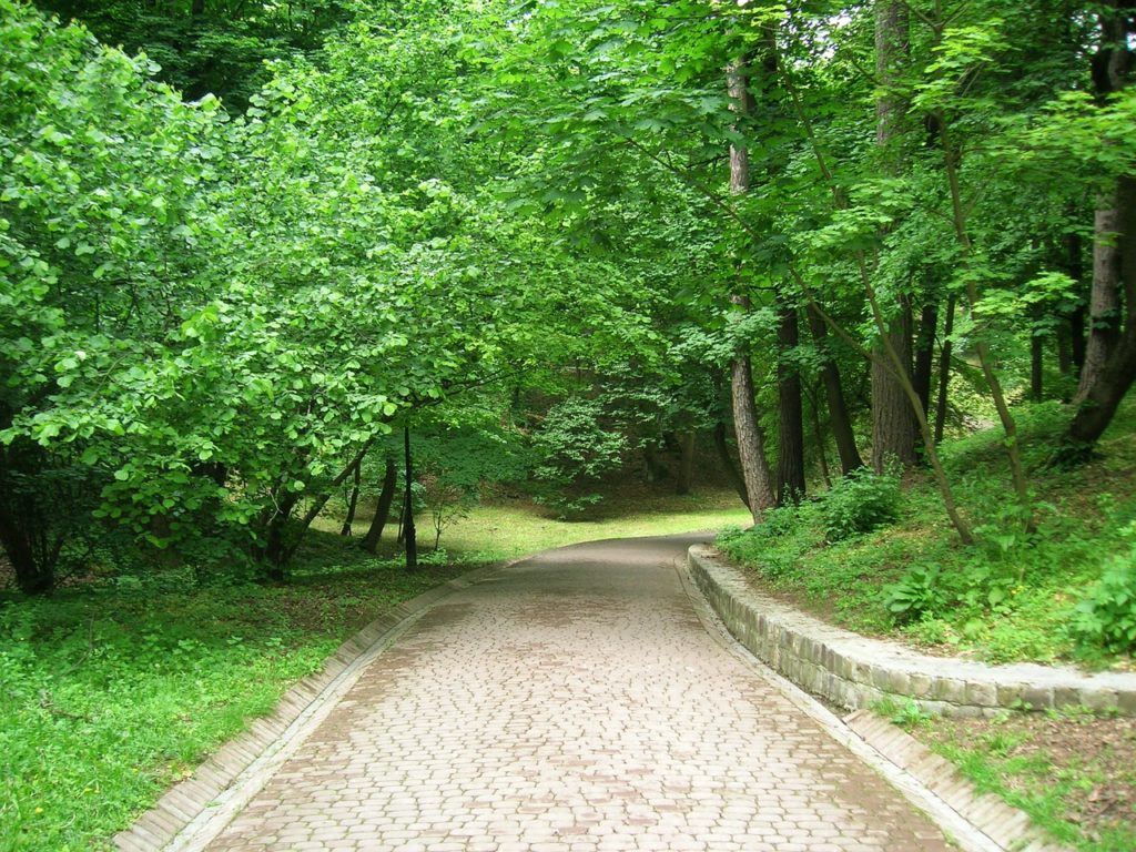 Symbolbild Stadtpark