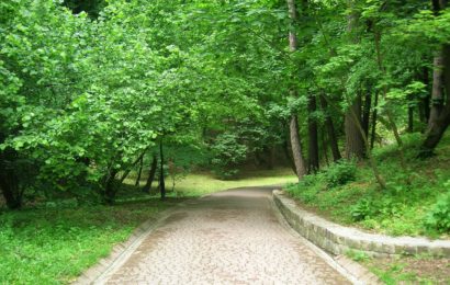 In Amberg Hakenkreuz auf Baum gesprüht