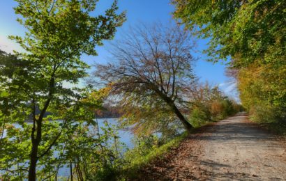 Verdächtiger Mann am Donauufer