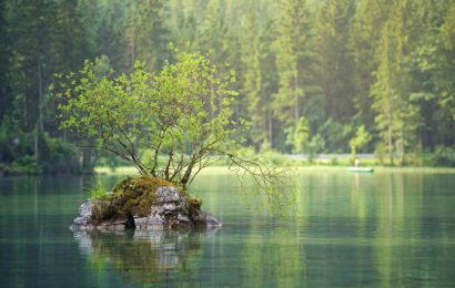 Brand auf einer Insel