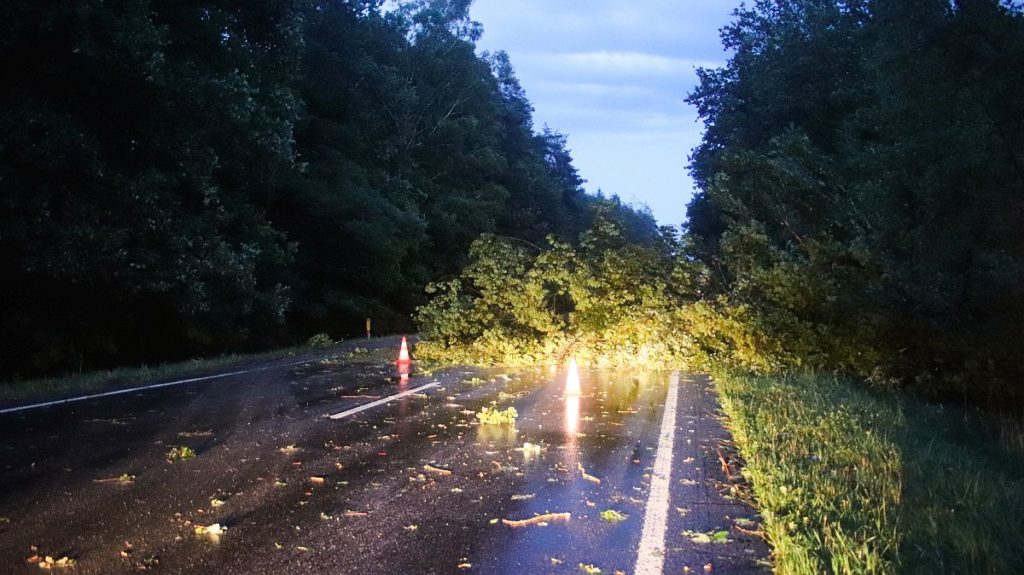 Umgestürzter Baum auf der B85 bei den Sandgruben Foto: Pressedienst Wagner