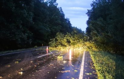 Baum fällt auf vorbeifahrendes Auto