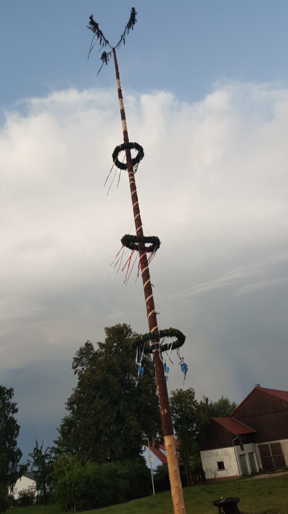 Dem "Kirwabaum" in Hohenkemnath fehlt seit dem Unwetter die Spitze Foto: Manuel Nitzbon