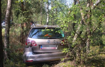 Der Golf landete nach dem Unfall im Wald Foto: Pressedienst Wagner