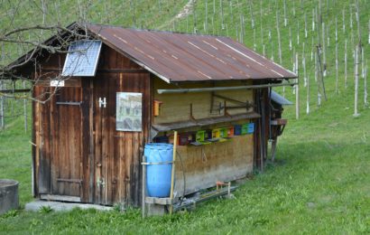 Bienenhaus beschädigt