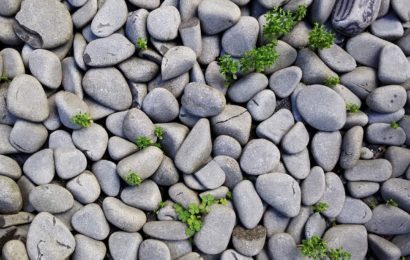 Schlechter Scherz geht nach hinten los