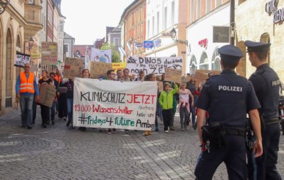 Klimademo „Fridays4Future“ in Amberg