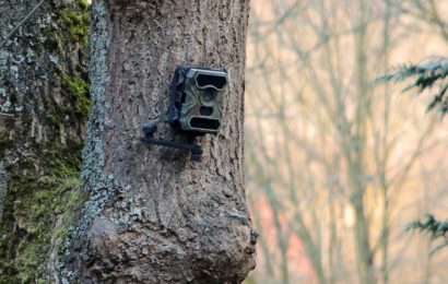 Sachbeschädigung an Wildkameras