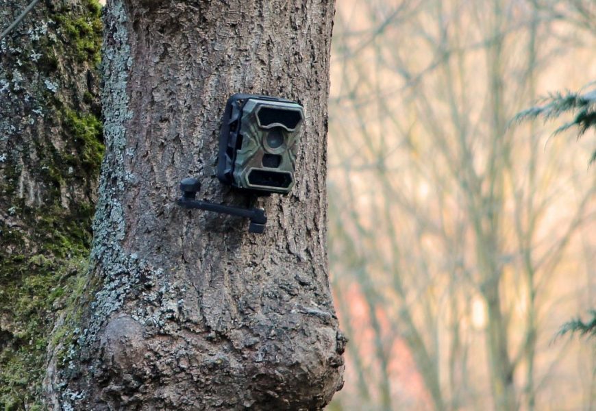 Sachbeschädigung an Wildkameras