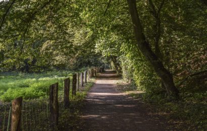 Wildschutzzaun beschädigt