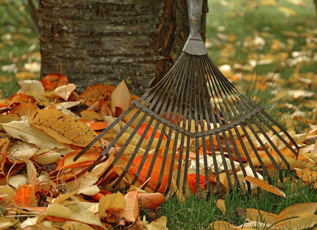 Symbolbild: Gartenarbeit im Herbst