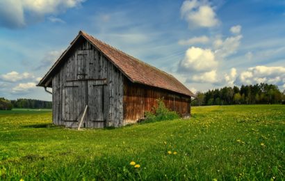 Aufbruch eines Holzschuppens