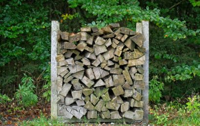 Dreiste Holzdiebe bei Erbendorf unterwegs