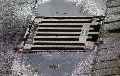 Nach Kontakt mit dem Gully-Deckel das Weite gesucht