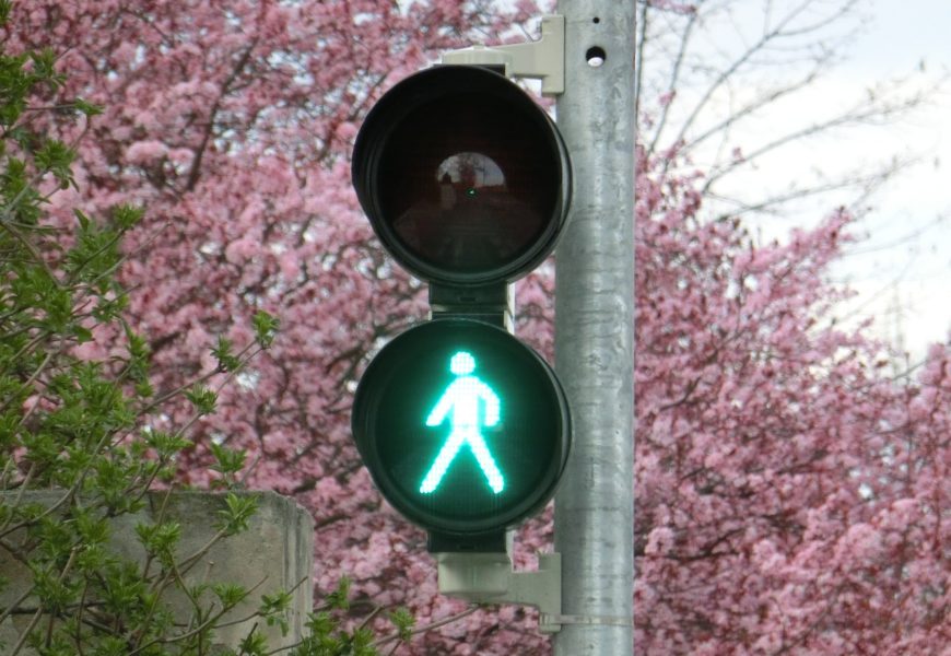 Bei Rotlicht die Fahrbahn überquert