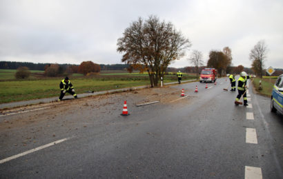 Verkehrsunfall bei Pressath