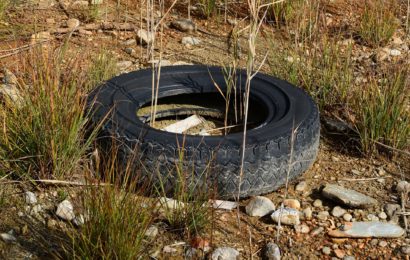 Altreifen im Wald bei Vohenstrauß entsorgt