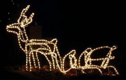 Weihnachtsdekoration in Lappersdorf entwendet