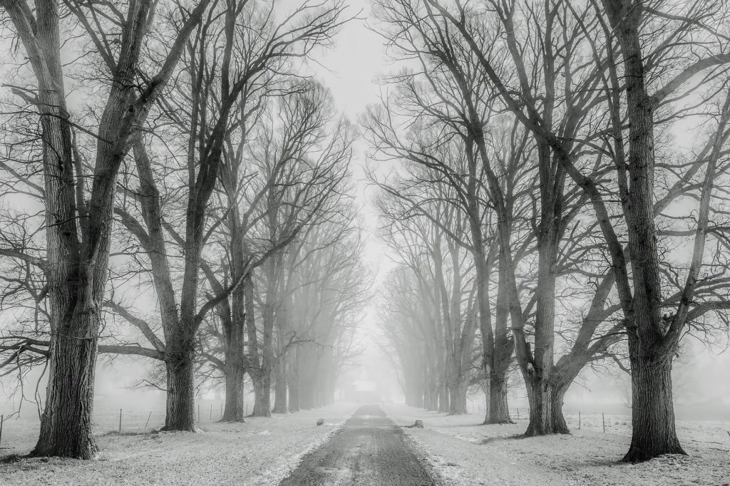 Symbolbild: Winterliche Straße