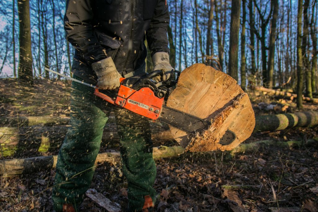 Symbolbild: Gefällter Baum