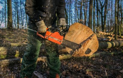 Baum in Wolfsbach gefällt und weiteren beschädigt