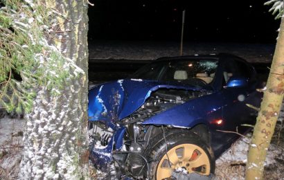 Bei Schneeglätte in den Straßengraben und gegen Baum gerutscht