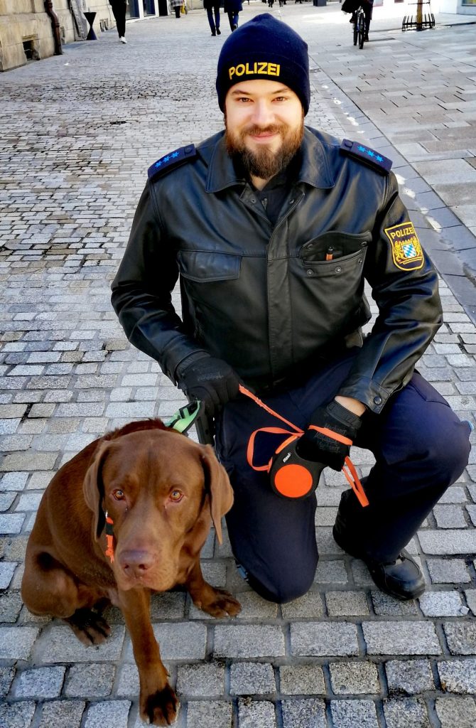 Der abgebildete Labrador sucht sein Herrchen/Frauchen.