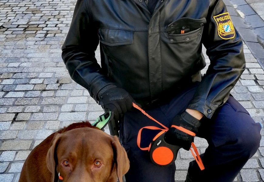 Herrchen/Frauchen gesucht
