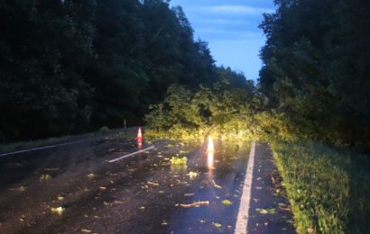 Durch Sturm umgestürzter Baum schädigt Verkehrsteilnehmer