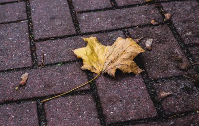 Man sollte sich nicht mit dem Hausmeister anlegen