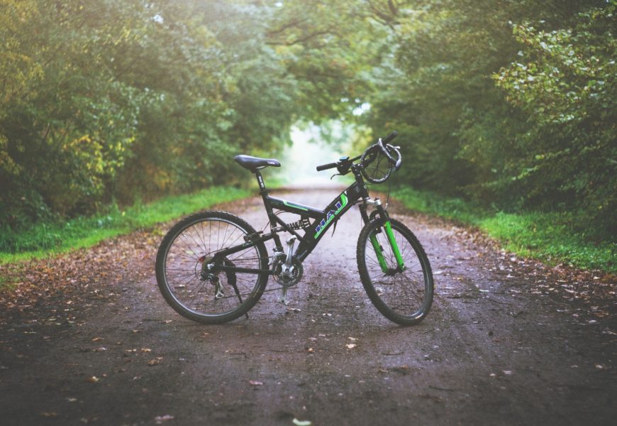 Mountainbike-Strecke unerlaubt gebaut