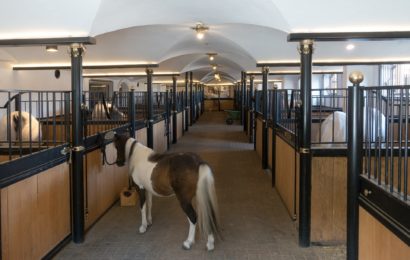 Straftaten gegen Pferdestallbesitzer gehen weiter