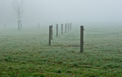 Weidezaungerät verschwunden