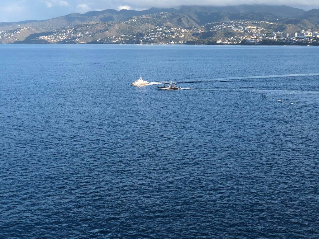 Polizeiboote kreuzen vor der Costa Magica, die vor Martinique vor Anker liegt. Foto: J.T. / Pressedienst Wagner