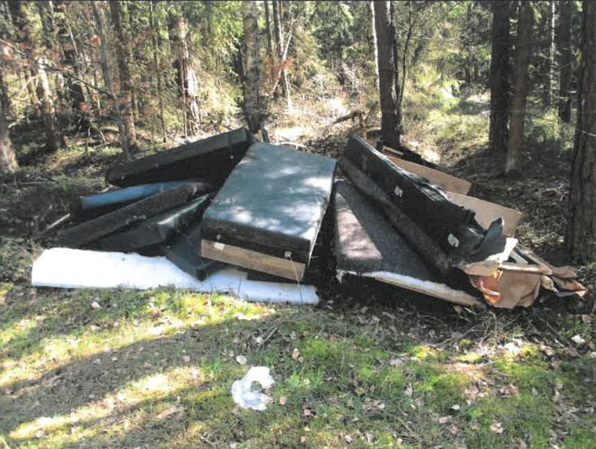 Die mehrteilige Couch landete im Wald Foto: Polizei