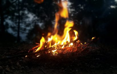 Aufmerksame Nachbarn konnten Schlimmeres verhindern – Kinder zündelten in Waldstück