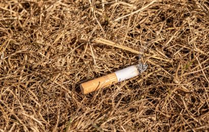 Symbolbild: Weggeworfene Zigarettenkippe