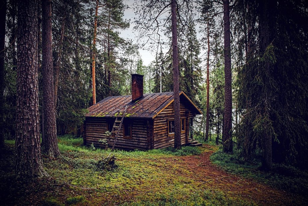 Symbolbild: Waldhütte