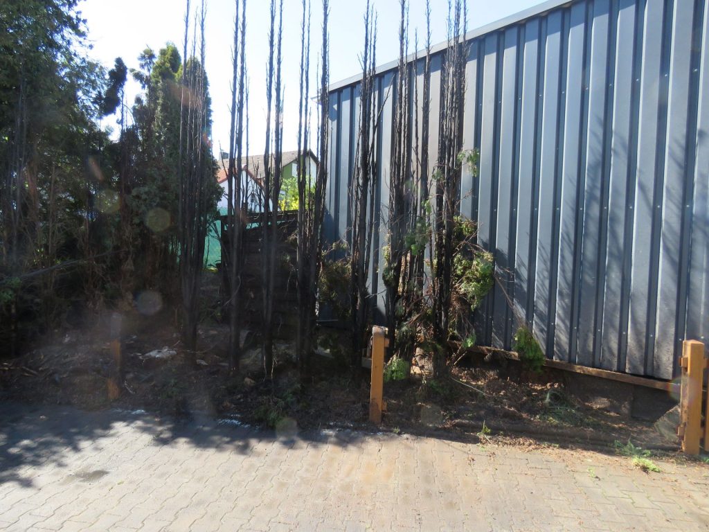 Ein Gartenzaun, eine Thujenhecke und die Blechfassade einer Lagerhalle wurden Opfer der Flammen Foto: Polizei