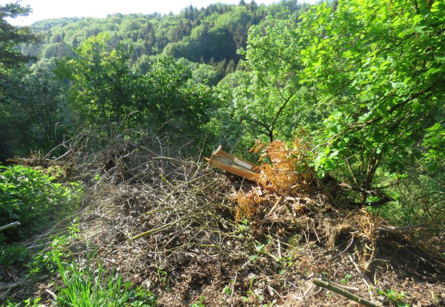 Unrat im Wald entsorgt