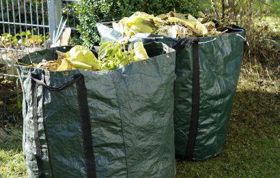 Gartenabfälle in der freien Natur bei Kropfersricht entsorgt